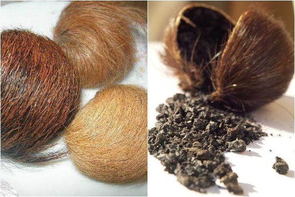 عطر مشک ختن